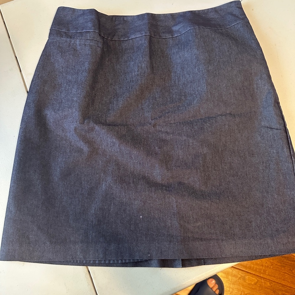 Merona Dark Navy Skirt